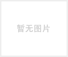 深圳SENSUS天燃气243-8调压器批发管道燃气调压器